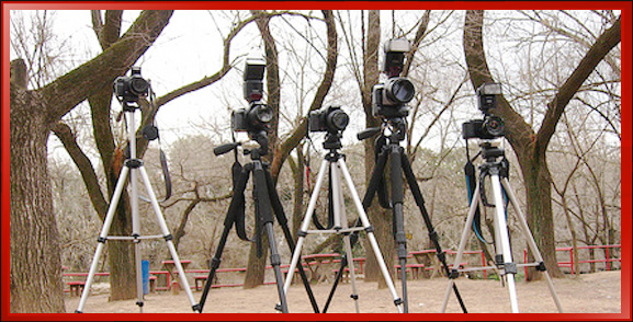 Group of Tripods