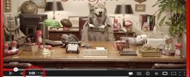 Old Spice Meet the Wolfdog